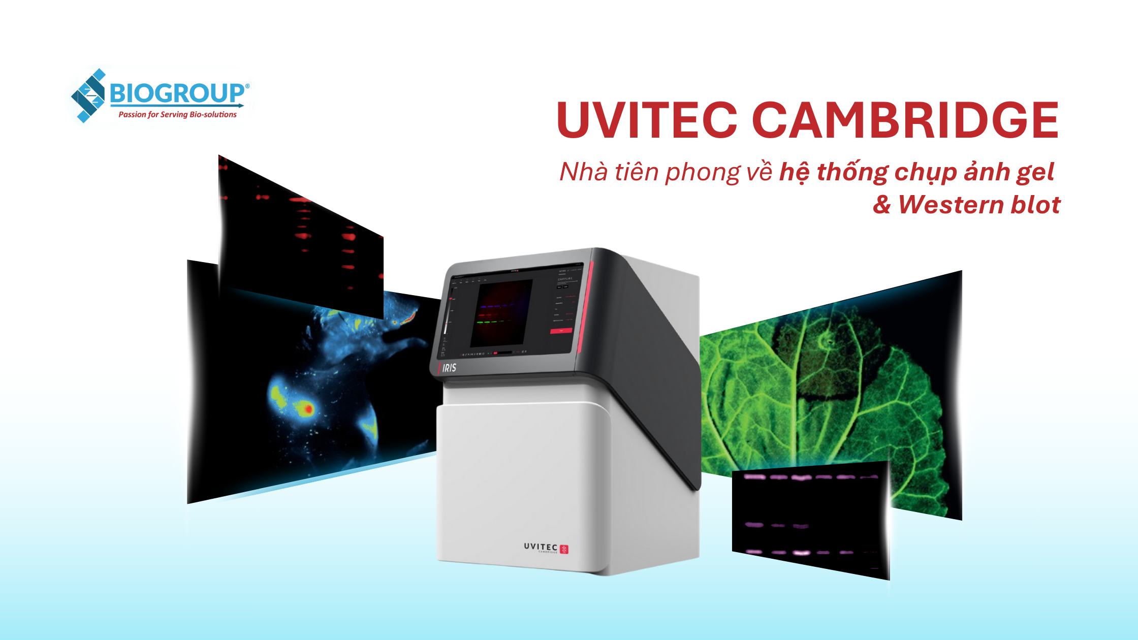 Uvitec Cambridge cung cấp hệ thống chụp ảnh gel & Western blot chất lượng từ Anh